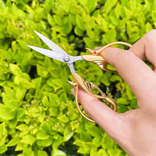 Cargar imagen en el visor de la galería, Tijera Cisne