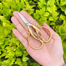 Cargar imagen en el visor de la galería, Tijera Cisne